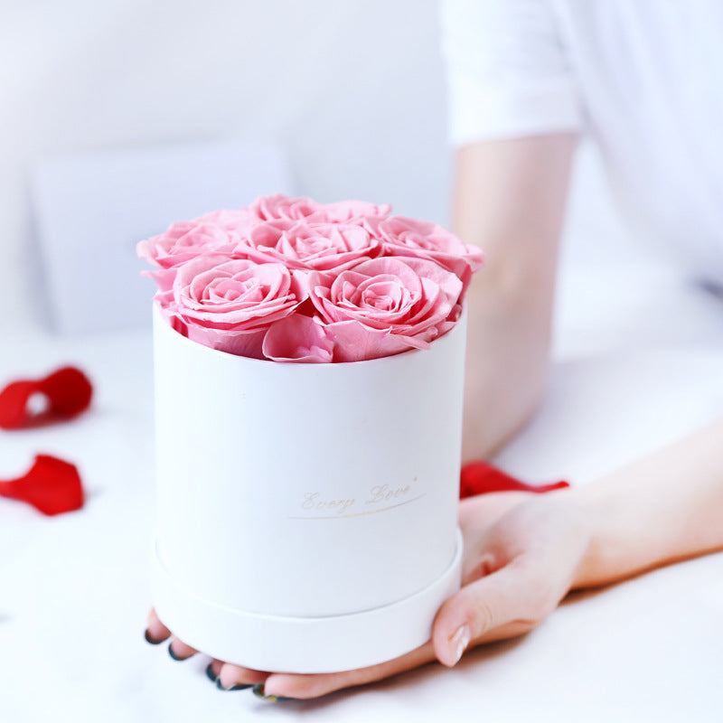 Rosenbox Infinity Rosen Homeeins