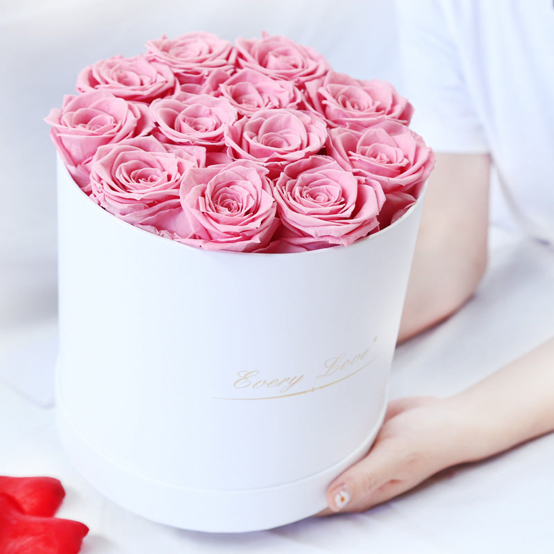 Rosenbox Infinity Rosen Homeeins