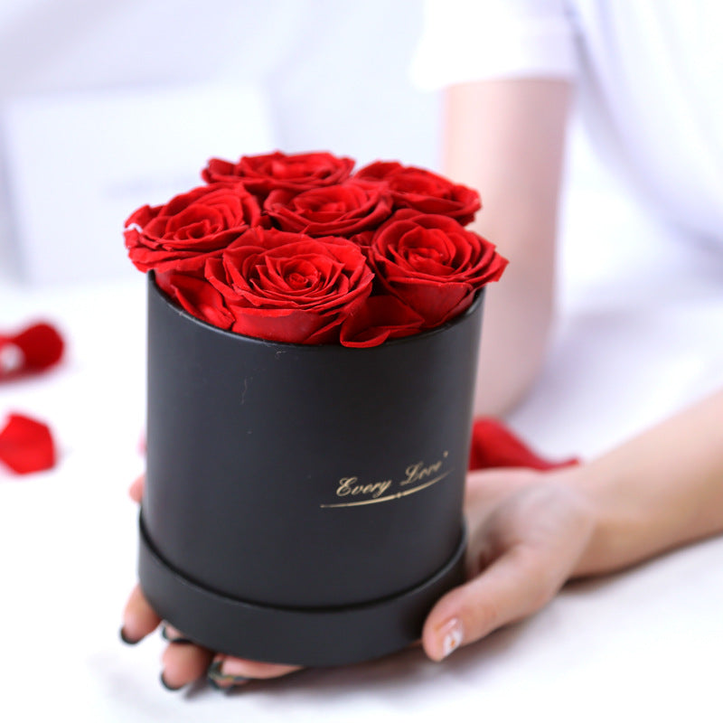 Rosenbox Infinity Rosen Homeeins