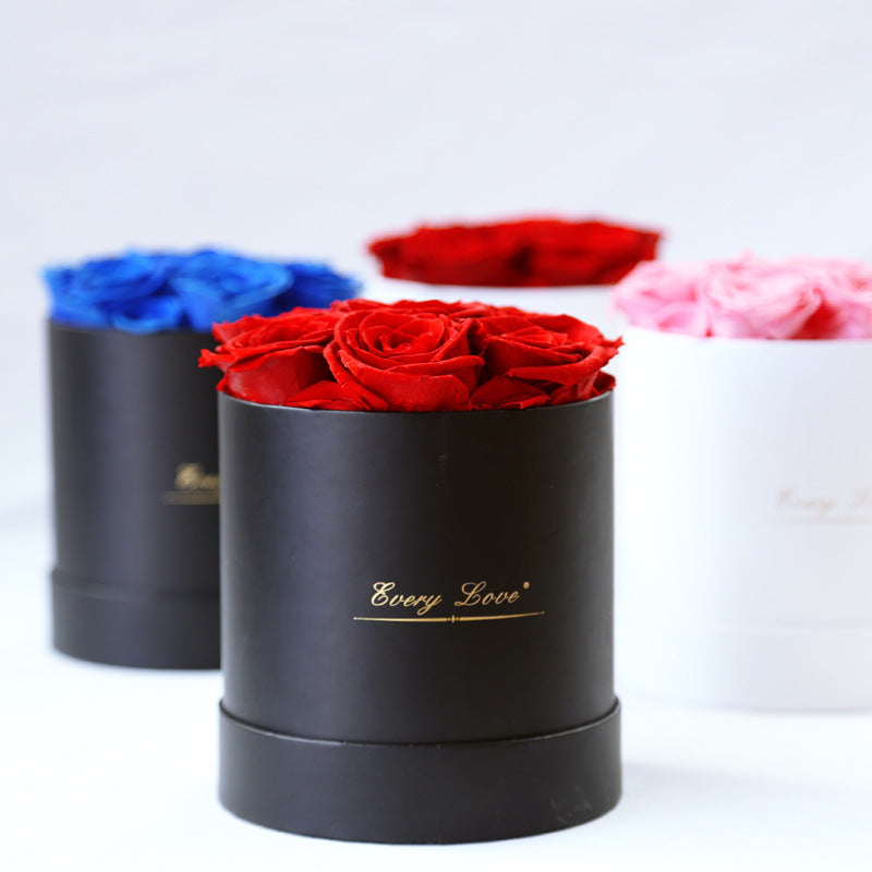 Rosenbox Infinity Rosen Homeeins