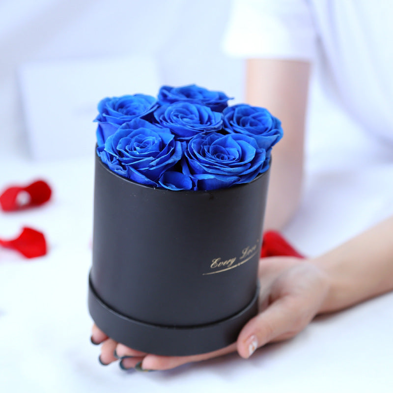 Rosenbox Infinity Rosen Homeeins