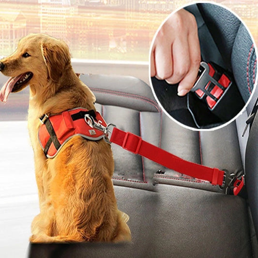 Sicherheitsgurt für Hunde und Katzen! Homeeins