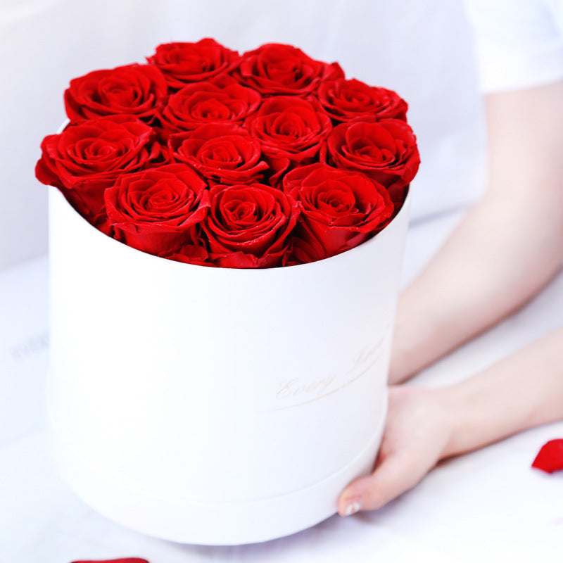 Rosenbox Infinity Rosen Homeeins