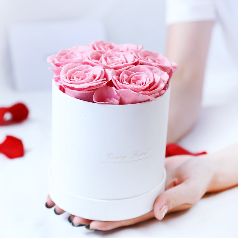 Rosenbox Infinity Rosen Homeeins