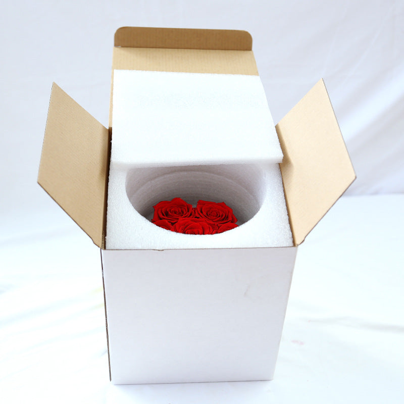 Rosenbox Infinity Rosen Homeeins