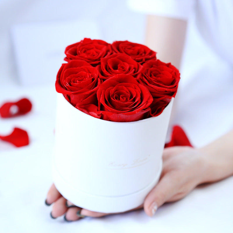 Rosenbox Infinity Rosen Homeeins