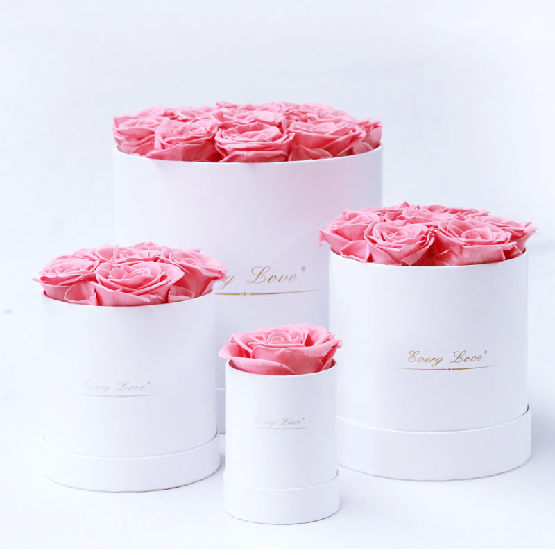 Rosenbox Infinity Rosen Homeeins
