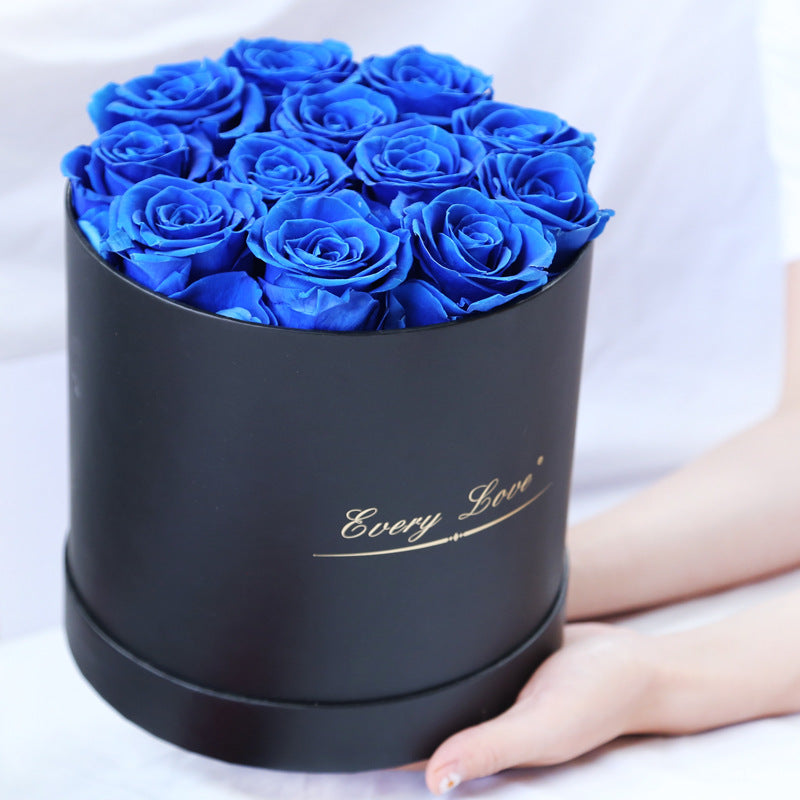 Rosenbox Infinity Rosen Homeeins