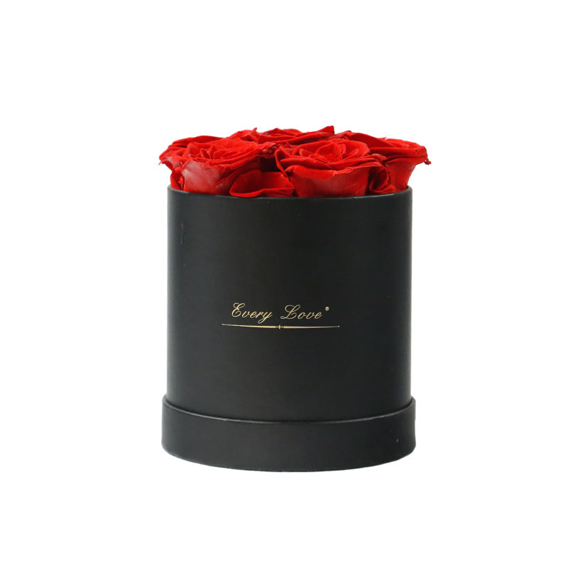 Rosenbox Infinity Rosen Homeeins