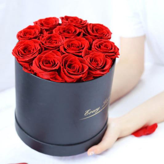Rosenbox Infinity Rosen Homeeins