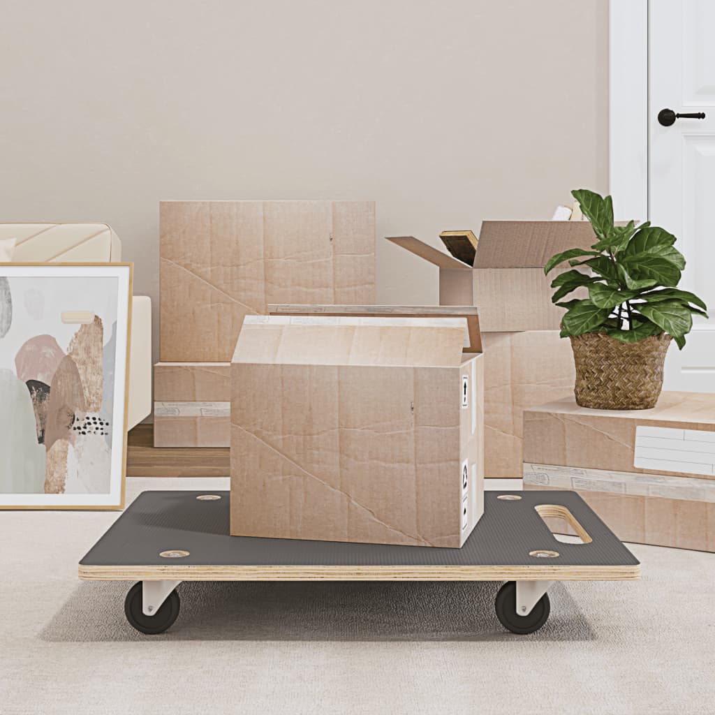 Transport Trolley 2 pcs. Rectangular 50x35x11.5 cm Homeeins