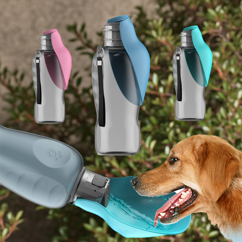 800ml Tragbare Hunde Wasserflasche Hohe Kapazität Auslaufsicher Faltbare Trinkschale Für Golden Retriever Outdoor Wanderbedarf Haustierprodukte Homeeins