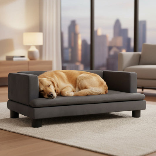 Luxus Hunde-Sofa mit Beinen – Erhöhter Schlafplatz, weich gepolstert, stabil bis 50 kg Homeeins
