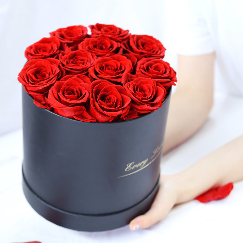 Rosenbox Infinity Rosen Homeeins