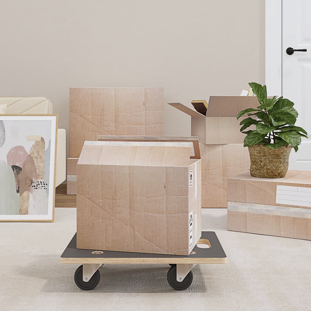 Transport Trolley 2 pcs. Rectangular 50x35x11.5 cm Homeeins