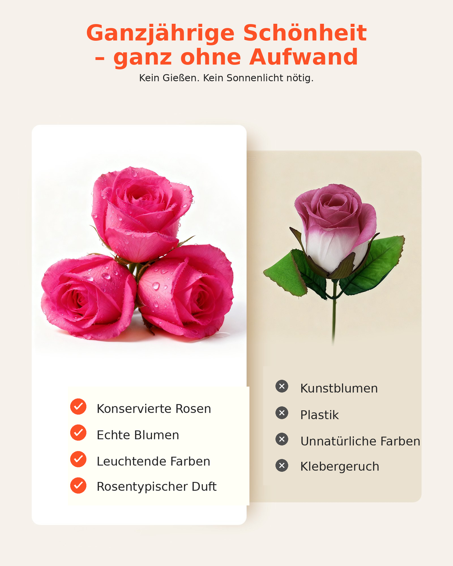 🌹 Ewige Rosen – 27 konservierte Rosen in runder Geschenkbox Homeeins